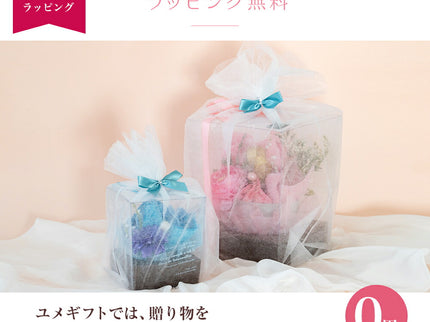 泉州タオルケーキ ストール