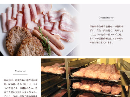 夢一喜　焼きハンバーグ詰め合わせ9点セット