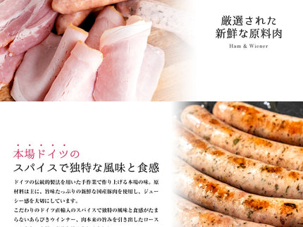 夢一喜　焼きハンバーグ詰め合わせ9点セット