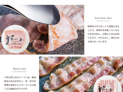 夢一喜　焼きハンバーグ詰め合わせ9点セット