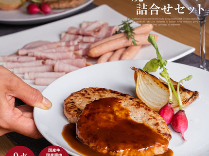 夢一喜　焼きハンバーグ詰め合わせ9点セット