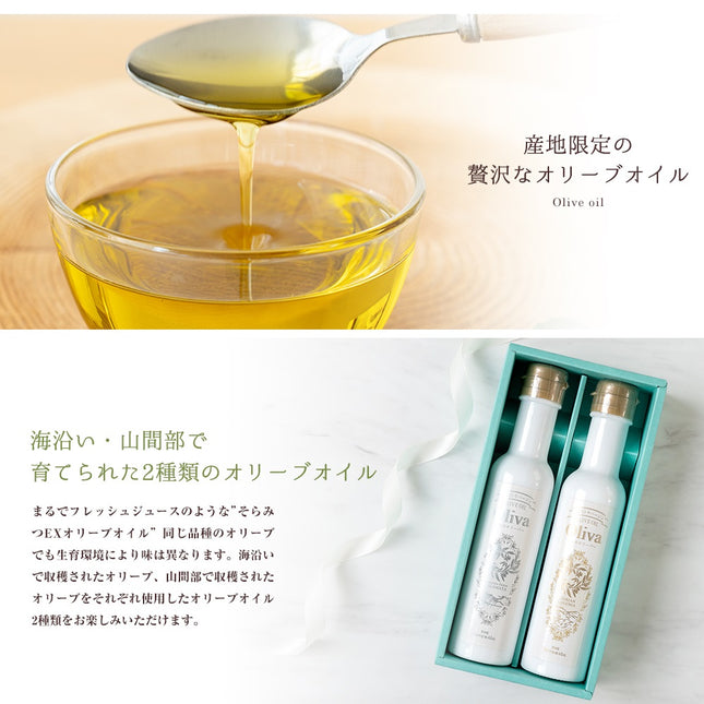 EXオリーブオイル 海・山のオリーバ 2本セット（化粧箱入り）