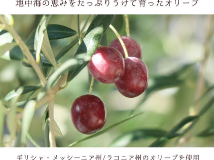 EXオリーブオイル 海・山のオリーバ 2本セット（化粧箱入り）