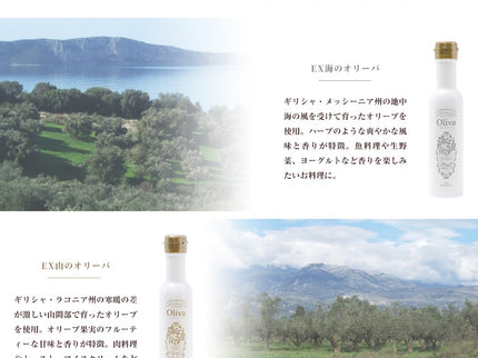 EXオリーブオイル 海・山のオリーバ 2本セット（化粧箱入り）
