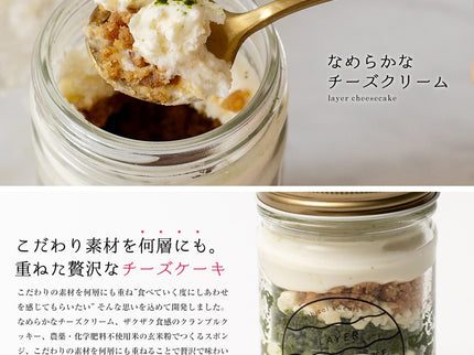レイヤーチーズケーキ