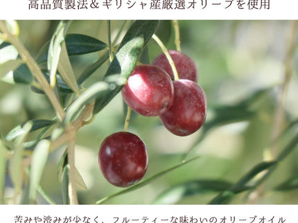 EXオリーブオイル 海・山のオリーバ＋グリーン・ブラックオリーブ種ぬき（化粧箱入り）
