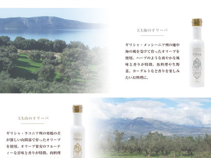 EXオリーブオイル 海・山のオリーバ＋グリーン・ブラックオリーブ種ぬき（化粧箱入り）
