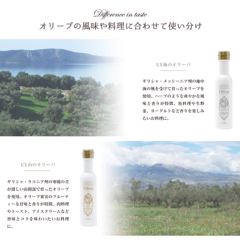 EXオリーブオイル 海・山のオリーバ＋グリーン・ブラックオリーブ種ぬき（化粧箱入り）